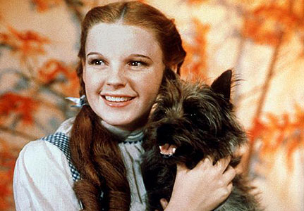 dorothy and toto.jpg